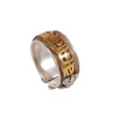 fede-nepalese-con-om